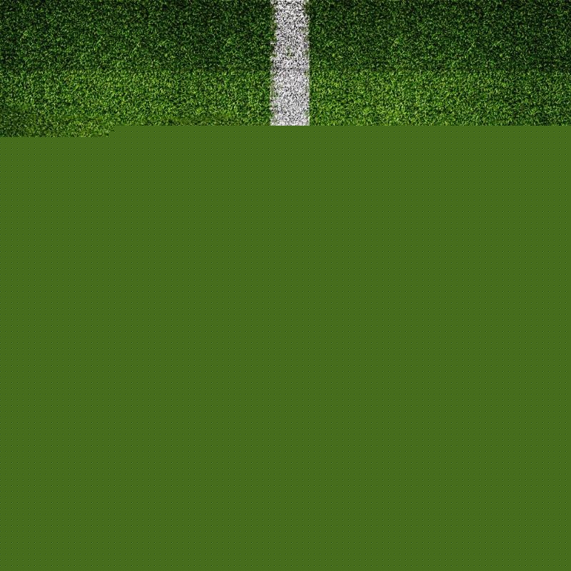 世界